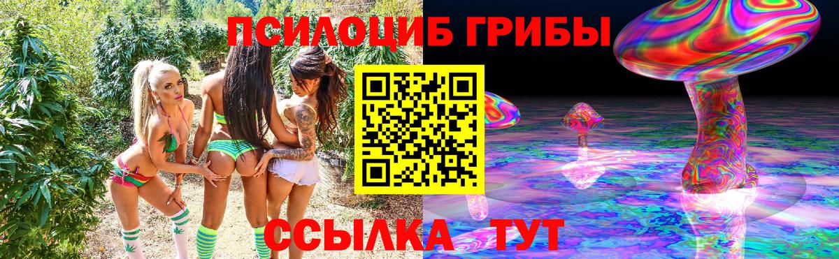 Энгельс  Галлюциногенные грибы мицелий  наркошоп  Вход с VPN 